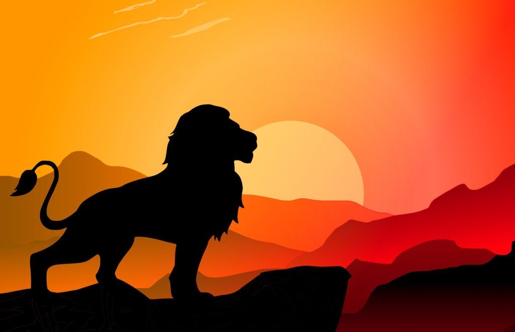 stojący lew na tle zachodzącego słońca